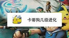 漆黑的魅影凤凰