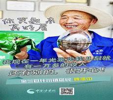 代表贫穷的花