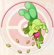 口袋觉醒鬼斯