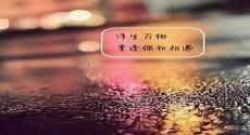 不愿你离开思念变成海歌词