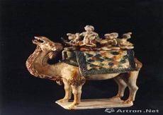 camel乐队
