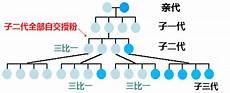 杂交与自交符号