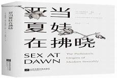 夏娃和亚当共多少笔画