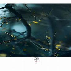 静待花开艺术字