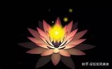 每天念108遍百字明