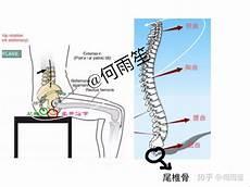 尾椎骨疼是怎么回事女性