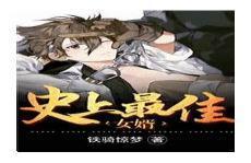 最佳女婿有声书